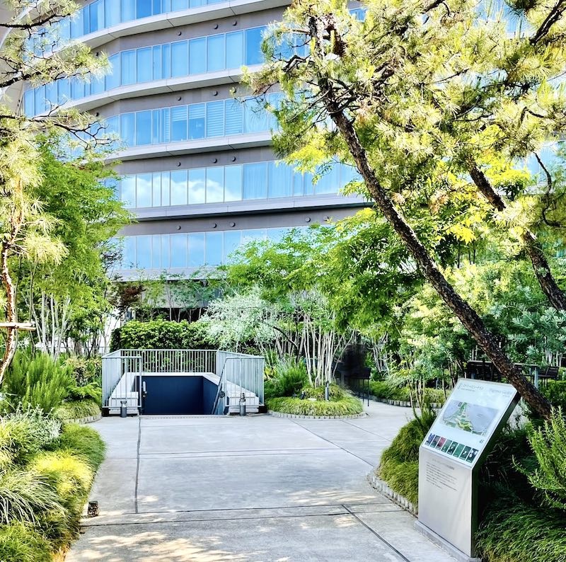 ザ・熊本ガーデンズ 屋上庭園からマンションを望む